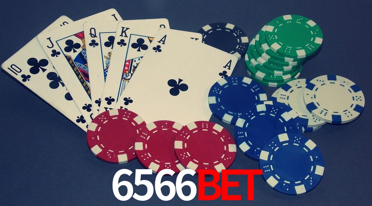 Statistics 6566Bet