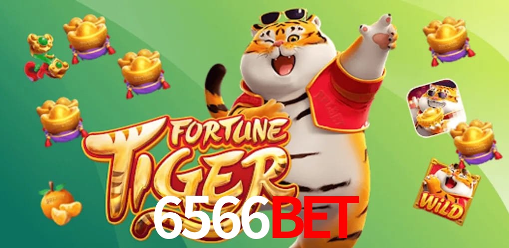Sports Statistics 6566Bet
